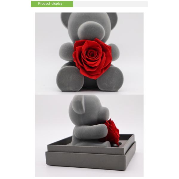 Valentine'S Day Everlasting Rose Bear With Gift Box For Wife / Girlfriend / Mother