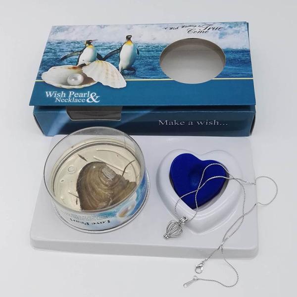 Perfect Freshwater Pearl Jewelry Gift-Wish Pearl Gift Necklace Set with Color Box Packing