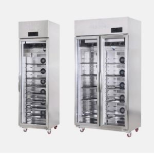 Cheap Kitchen Thawing Cabinet Three Doors Stainless Steel Automatic Defrosting wholesale