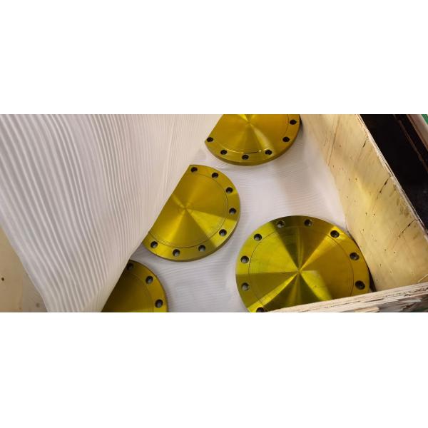 Pn10 Pn16 Pn25 Pn100 Blind Flange Carbon Steel A105