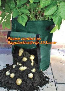 Cheap Horticulture, NURSERY, PLANTER, SEED, PLASTIC GROW BAGS, HYDROPONICS, FLOWERPOTS, BLACK wholesale