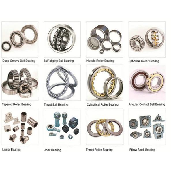 Low Noise Single Row Deep Groove Ball Bearing ZZ 2RS Deep Groove Bearing