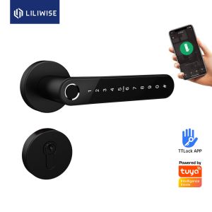 China Intelligent Electric Handle Wooden Door Lock For Residential on sale