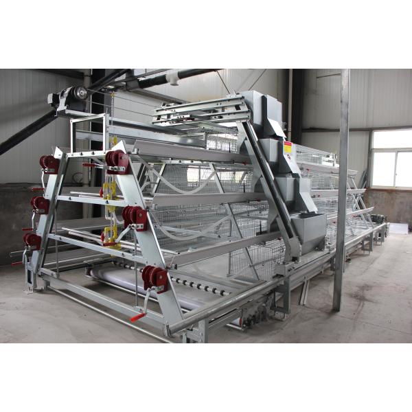 Automatic Hot Galvanized Layer Chicken Cage System 4 Birds Per Cell