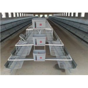 Cheap Welded Galvanized Egg Layer Chicken Cage Q235 For Farming wholesale
