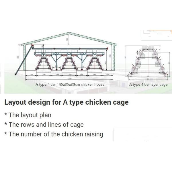 Multi - Tiers Layer Poultry Equipment Broiler Cage Farming Manage Easily