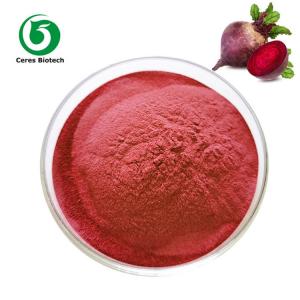 Cheap Hot Air Drying Red Beetroot Powder Organic Food Supplement wholesale