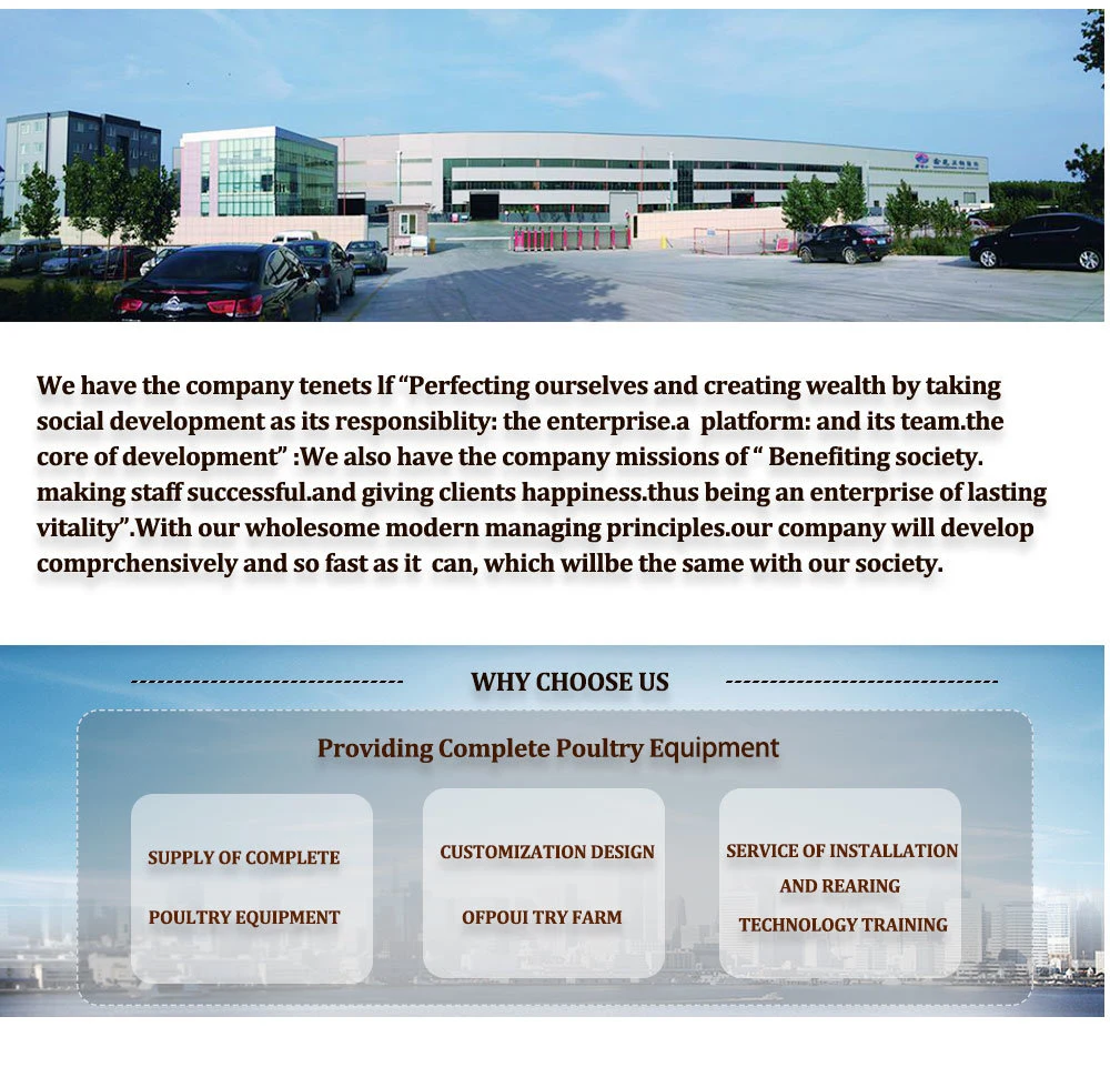 Layer Egg Chicken Cage/Poultry Farm House Design Egg Chicken House Design for Layers Metal Chicken House