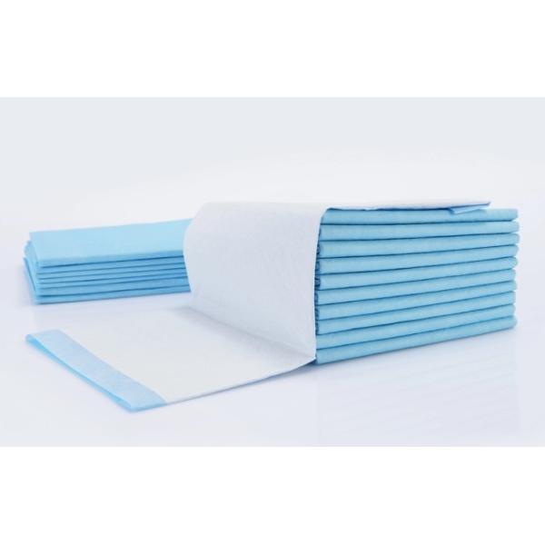 Disposable Pet Pee Pad