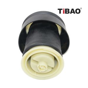BMW X5 E70 Air Suspension Shock Absorber 37126790078 37126790079