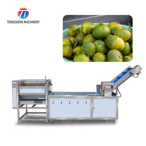 Customized Citrus Fruit And Vegetable Processing Line Impurities Treatment