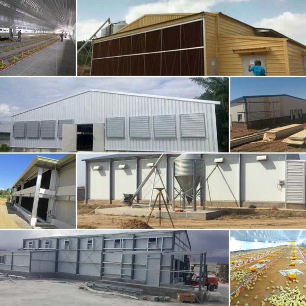 XGZ Steel Structure Poultry House Customized Size And Layout