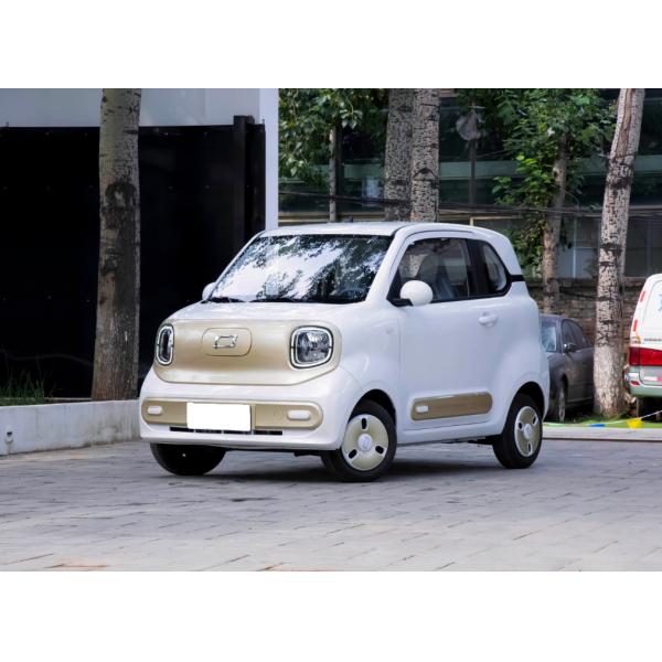 Pure Electric Vehicle Bestune Pony Long Range 170km Mini EV Car 2024 Electric Car Adult