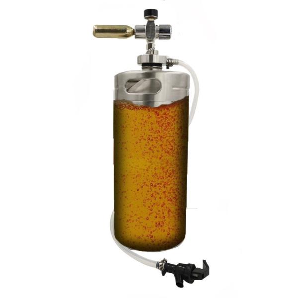 4L Single Wall CO2 Mini Keg Dispenser With Flexible Beer Tap