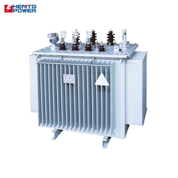 Oil Immersed Type Power Distribution Transformer Outdoor 250KVA 315KVA Three Phase