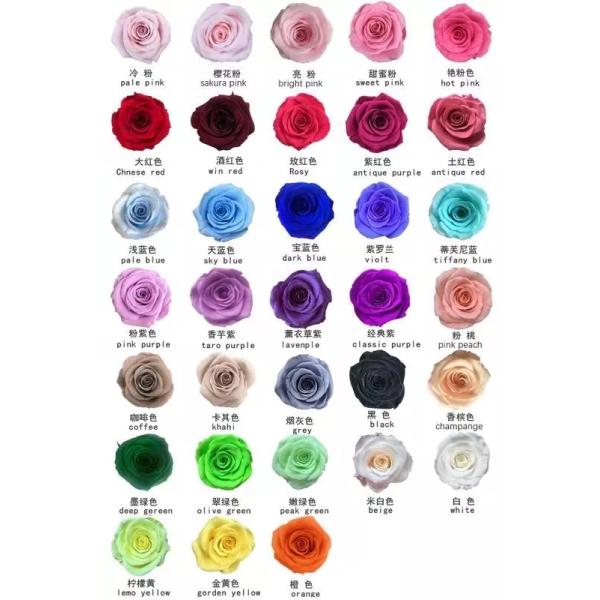 2020 New Preserved Rose 5-6cm Real Rose That Last A Year For Valentines Day girlfriend gift