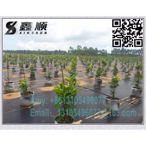 weed barrier ground cover weed mat landscape mat silt fence fabric (66).jpg