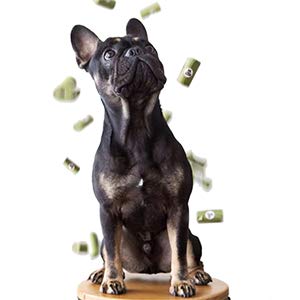 Doggie Poop Mittens With Handles,Disposable Pet Supplies,Bags With Dispenser, Dog Waste Bags, Poop Mittens, Pet Bag, Lit