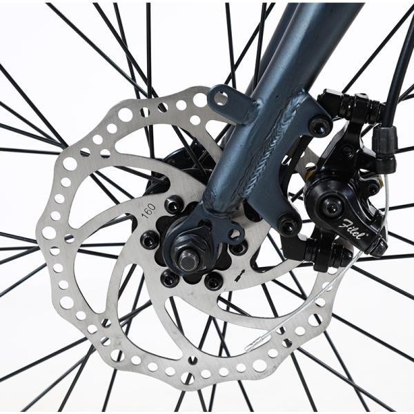 20 Inch Folding Electric Bike 36v 6 SPEED Removable Lithium Battery For Outdoor Cycling