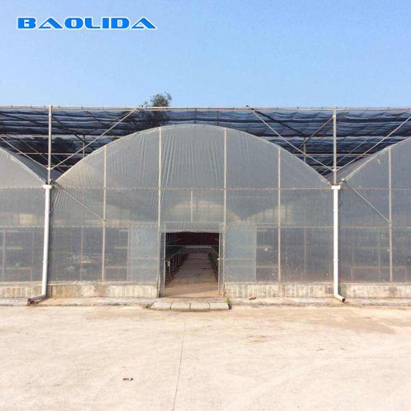 Prefabricated Tunnel Plastic Film Multispan Greenhouse Plastic Film Greenhouse