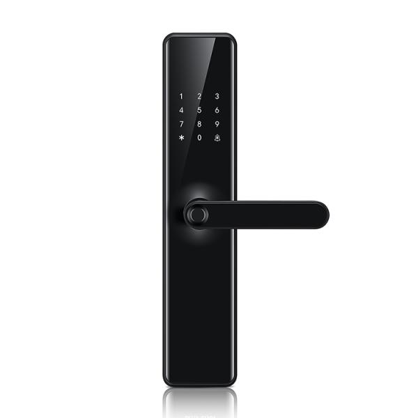 Waterproof Tuya Wifi Door Lock With Fingerprint And Password
