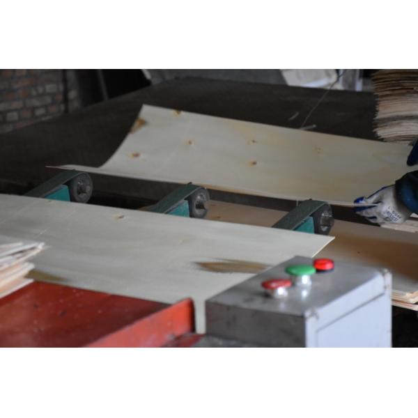 Waterproof Plywood for Construction/ brown film faced plywood/High quality film faced plyw