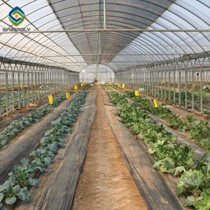 China Single Span Plastic Film Agricultural Greenhouses For Madical Plants on sale