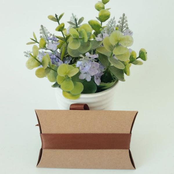 Bow Tie Biodegradable Kraft Paper Food Packaging Sweety Pillow Boxes 7.5g