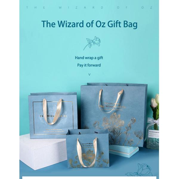 Shopping Cardboard Clothing Packaging Kraft Paper Bags With Ribbon Handle