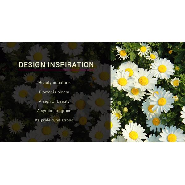 birch wood Basic Makeup Brushes Set Vegan Brush Set with 21cmx11cm Bag