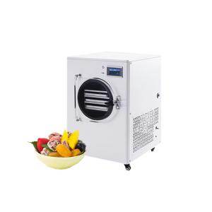 China Commercial Freeze Dryer Oil Free Vacuum Pump Spray Dryer Freeze Low With Great Price on sale