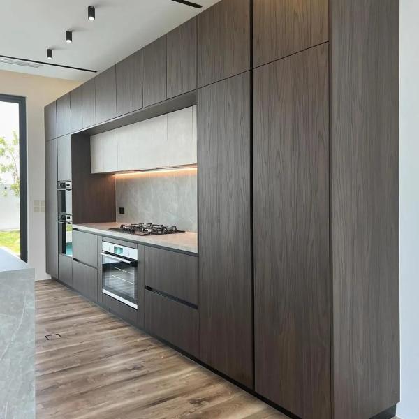 Kitchen Furniture Design Wood Veneer Kitchen Cabinet Wholesales