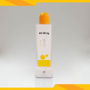 Cheap Avian Influenza Virus H5 (AIV H5) Antigen Veterinary Rapid Diagnostic Kits Pollution Free wholesale