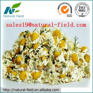 Cheap Apigenin Powder 98% CAS No: 520-36-5 wholesale