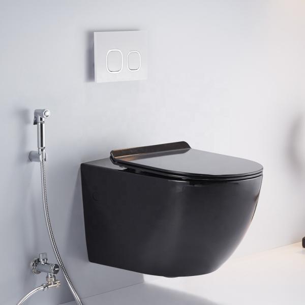 Dual Flush Gravity Wall Hung Toilet P Trap Self Cleaning Glaze