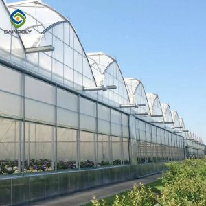 Cheap Vegetable Multi Span 3.0m Arch PC Sheet Greenhouse wholesale