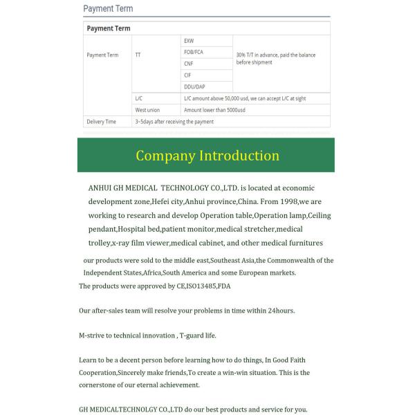 ABS Electric Double Crank Hospital Bed CE Certified For Patients