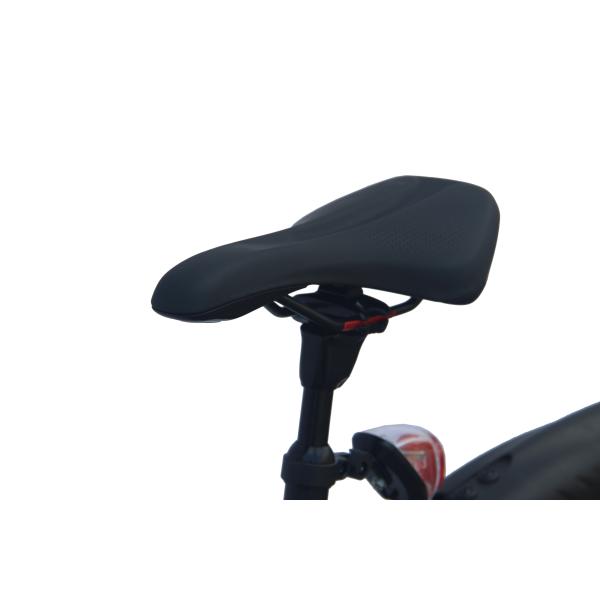 200w 2 Wheel Drive Electric Bike Adult 29 Inch 40 Mph E Fat Tire Portable Motorized Bike