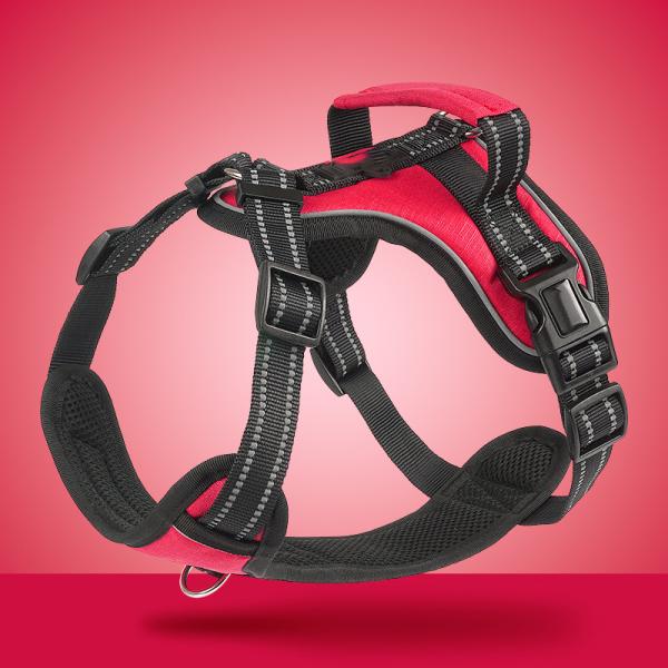 Personalized Reflective Explosion-Proof Leash for Medium and Large Dogs at Chengbei Special Dog Chest Strap
