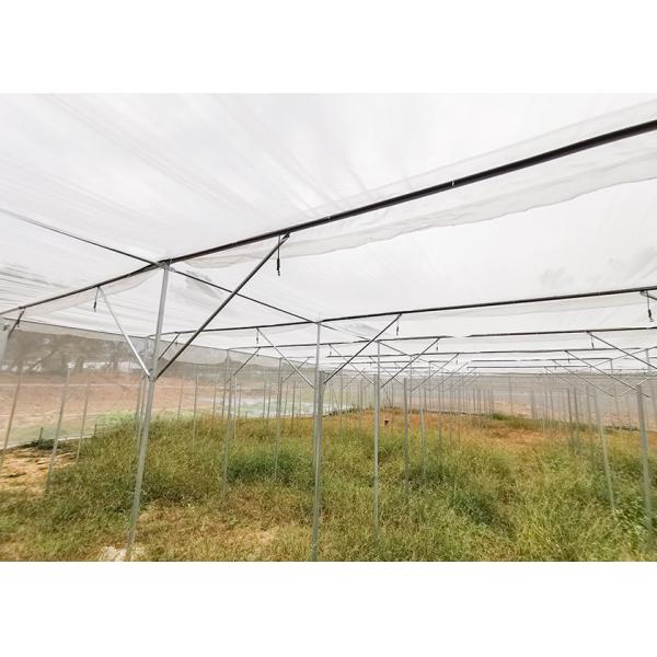 Wind Resistant Insect Net House No Welding For Fruit Planting