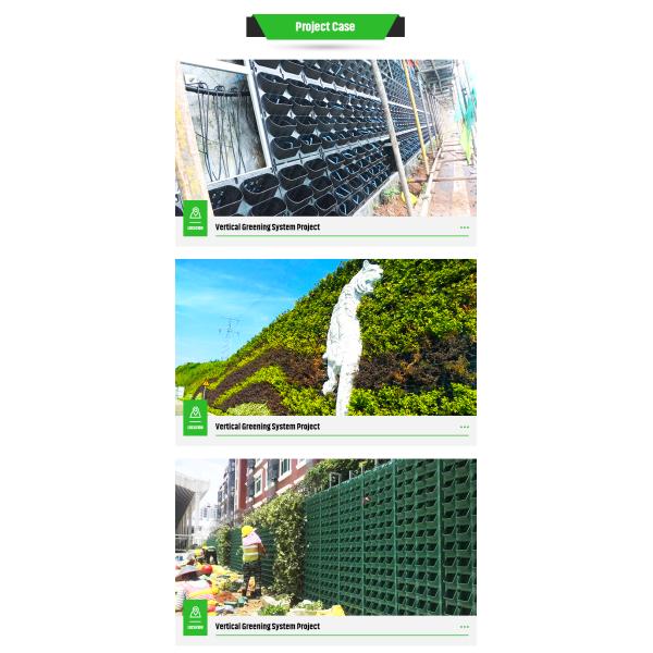 Not Coated Artificial Greenwall Indoor Flower Pot Planter Garden Vertical