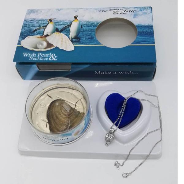 Perfect Freshwater Pearl Jewelry Gift-Wish Pearl Gift Necklace Set with Color Box Packing