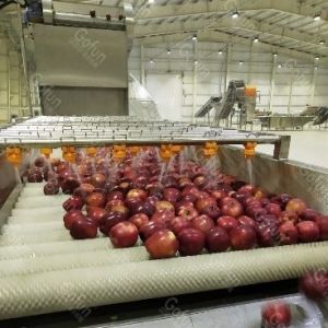 Cheap Apple Processing Line For Machinery And Comprehensive Engineering wholesale