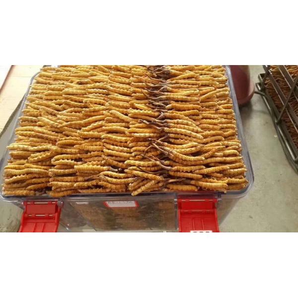 herbal freeze drying