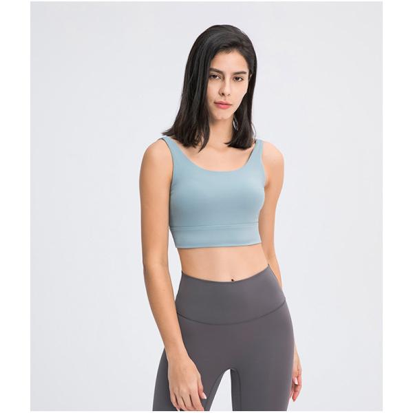 Latest U-Shaped Elastic Women Sports Bra Wide Strap Female Fitness Tank Top With Pad