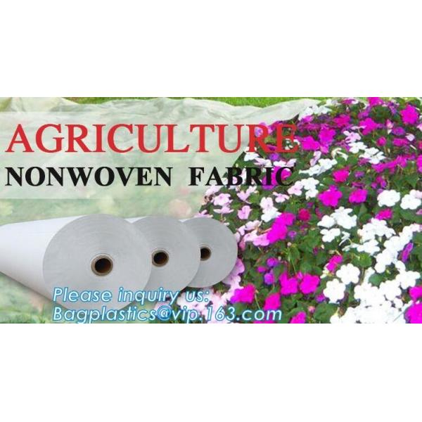 Heavy Winter Protection Plant Cover Winter Cover Anti-frost Zipper And Drawstring Cold Protection Non-woven Plant Antifr