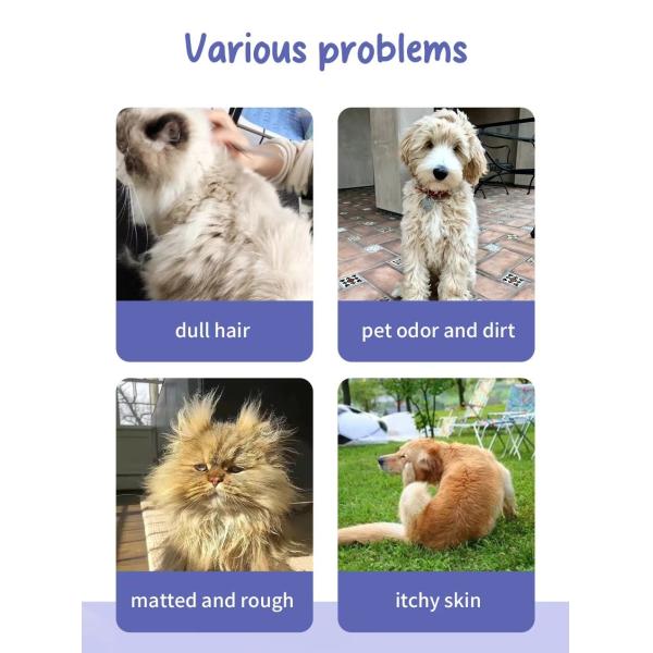 Safe Pet Laundry Detergent Sheets Plastic Free Eco Friendly Dog Shampoo Sheets