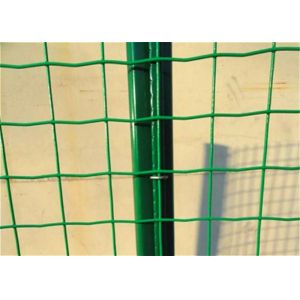 50*50mm Dutch Mesh Welded Wire Fence Panels