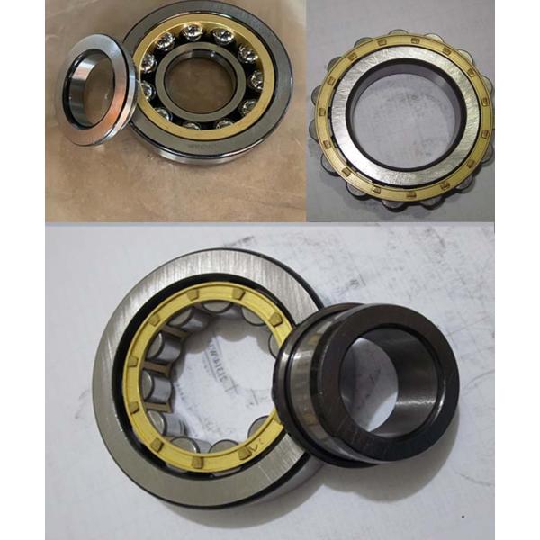 Double Row Cylindrical Roller Bearing Cylindrical Ball Bearing 36*54.3*22mm