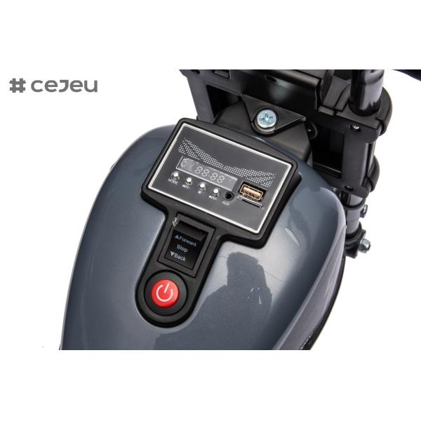 Electric Kids Motorcycle Toy, Music & Lights, Hand Acceleration & Foot Brake, 6V4.5AH